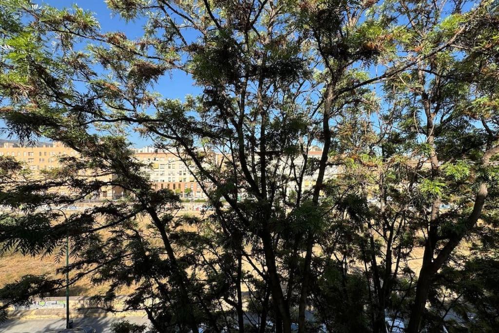 Apartament With Style And Comfort For 4 Màlaga